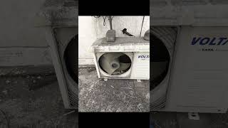 Voltas ac outdoor net cracked and change