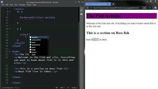 The Complete HTML and CSS Course For Beginners : Changing font type and color and size