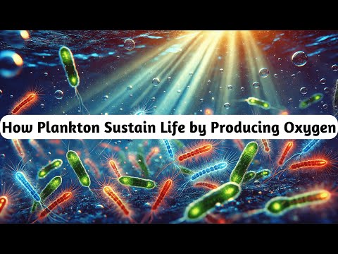 How Plankton Power the Planet with Oxygen 🌊🌱