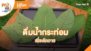 ดื่มน้ำกระท่อมเสี่ยงไตวาย | รู้สู้โรค | คนสู้โรค