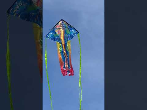Hike and Fly, Reaching the Summit for a Kite-Flying Adventure!