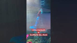Mermaid in SeaWorld Abu Dhabi #seaworldabudhabi #seaworld
