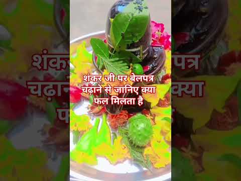 शंकर जी पर बेलपत्र चढ़ाने से जानिए क्या फल मिलता है#shortvideo #panditpradeepmishrajikeupay #trendi