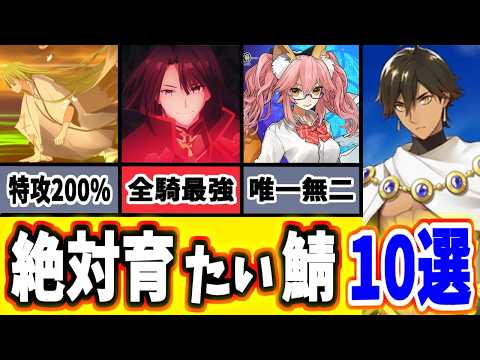 【FGO】ガチで育てて良かった！圧倒的に強い恒常☆5鯖10選を徹底解説 2024上半期【ゆっくり実況】【Fate/Grand order】