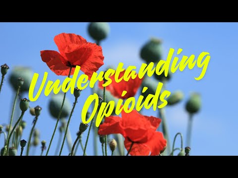 Understanding Opioids - The Hidden Dangers Behind Painkillers