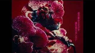 RADWIMPS - Shape Of Miracle  [Official Music Video]