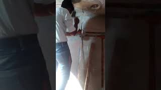 HOUSE ELECTRICIAN CUM PLUMBER ALVI CODE 205(3)