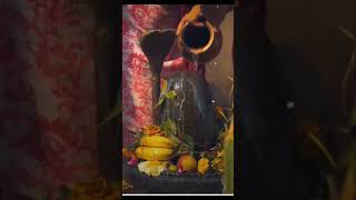 Om Namah Shivay# Savan Mein Shiv Ki Puja#trending #aasthabhajan#hindufestival#viralvideo#viralshort