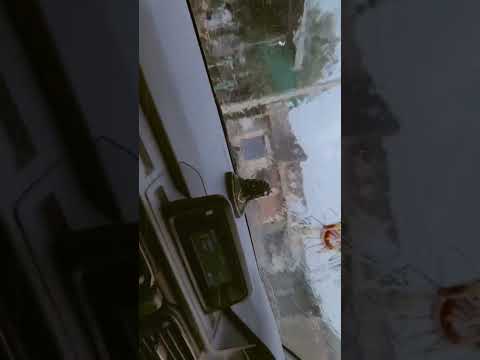 #carvideo #viloyatini #vilog #masti