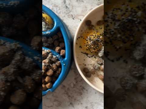 current line up: raw egg, black cumin, & pumpkin seeds 🥚🖤🎃 #dogfood #dogs #dog #wellness #food