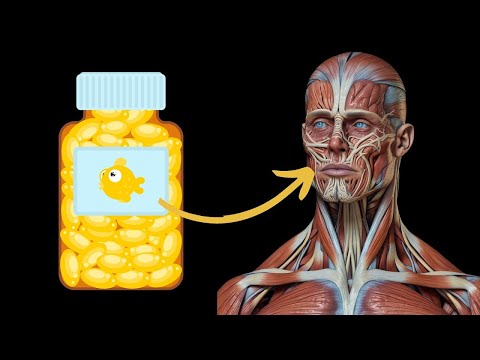 What Happens To Your Body When You Take Fish Oil Everyday