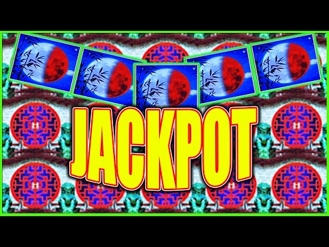 She SHOCKED Me With This JACKPOT! High Limit Autumn Moon Dragon Link Slot Machine