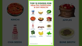Top 12 Foods for Healthy Digestion and Gut Health  #food #vitamin