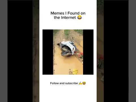 Funny videos