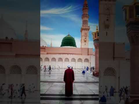Jashn e Amad e Rasool - Farhan Ali Qadri #islam #freepalestine #shorts #youtubeshorts #shortvideo