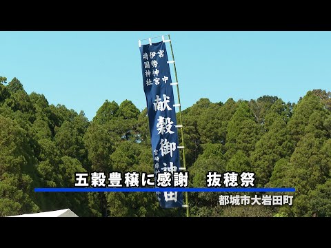 【都城】五穀豊穣に感謝　抜穂祭