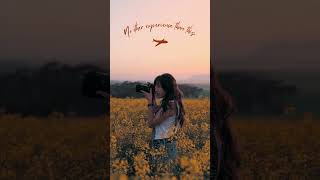 Simple Yellow Evening Morning Aesthetic Slow Flower Field Girl Photography Travel Mobile Video