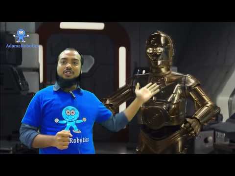 What is a Robot? | Are they taking our Jobs?