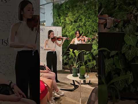 20240803 TSO臺北市立交響樂團 月亮代表我的心