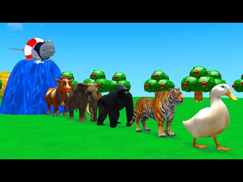 Long Slide Game With Elephant Gorilla Buffalo Hippopotamus Tiger 3d Animal Game Funny 3d Animals