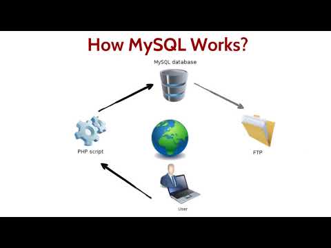 MySQL