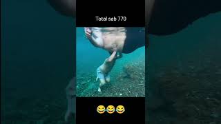 funny videos
