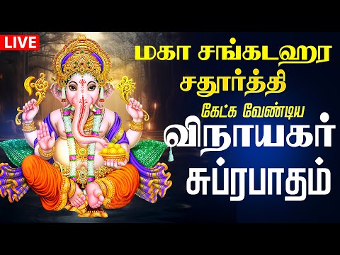 🔴 LIVE SONGS| மகா சங்கடஹர சதுர்த்தி நிம்மதி தரும் தமிழ் விநாயகர் சுப்ரபாதம்!