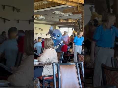 THIS is your sign to go eat breakfast with Stitch today! #disney #disneyworld #stitch #liloandstitch