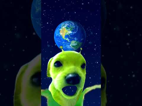 alien dog #funny #alienremix #memes #aliengang #roblox #cheems #voiceeffects