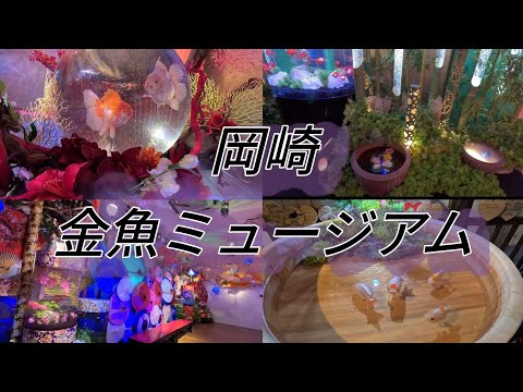 【岡崎イオン】岡崎金魚ミュージアム　龍と金魚のものがたり。