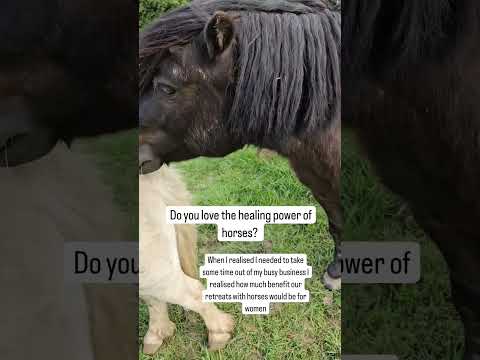 Do You Love The Healing Power of Horses!