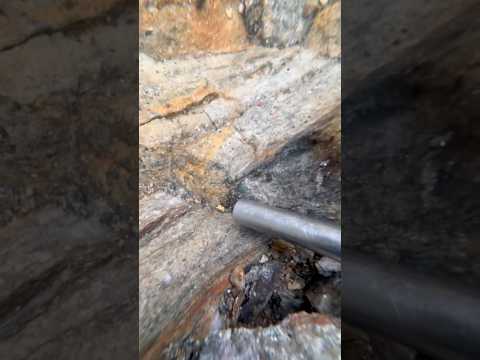 3 nuggets in 60 seconds #gold #goldrush #goldpanning #goldprospecting #visitscotland