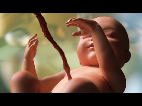 Sleep sound: Relaxing Sleep Sounds For Little Miracles