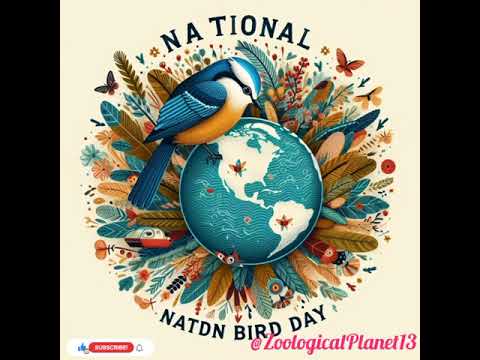 National Bird Day|Birds day|5th January birds day#birds #birdslover #birdsounds #birdslover