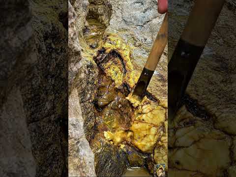 Gold Quartz 🪙😮 #GoldRush #fyp #viral #golddiscovery #quartz #treasure #explore #lifestyle #gold