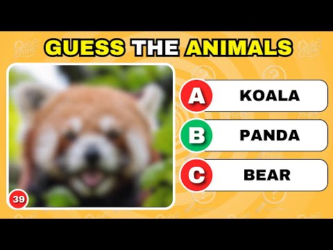 🔍 Guess The Animal From Blurred Image – Can You Get All 20 Right? Only 1% Can Guess All Animals.