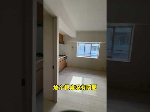 东京“铁景”公寓能卖多少钱#海外投资 #海外置业 #日本房产 #日本投资
