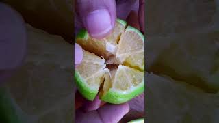 Mouth watering lemon 🤤 ll #lemon #trending #shorts #fruit #food  #mouthwatering