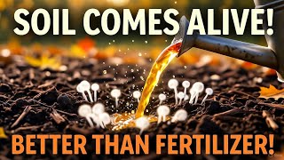 "Pour THIS in October: The Secret Soil Elixir That Beats Every Fertilizer | Soil LIFE Hack!"