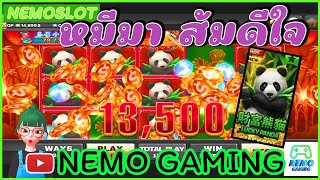 #slotxo​ #joker123​ LUCKY PANDA หมีน่ารักมากันเต็มลุย #nemoslot​#เครดิตฟรี​