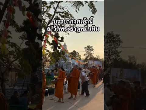 ทำบุญตักบาตร ณ.วัดพระธาตุหมื่นหิน พระสงฆ์ 41รูป #หลวงปู่ศิลา #วัดพระธาตุหมื่นหิน