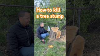 How to kill a tree stump with tordon #tordon #treestump #killtree #remove
