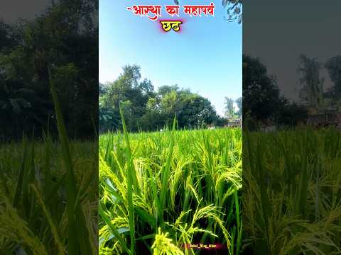 Chhat In Bihar 📍 #chhat #bihar