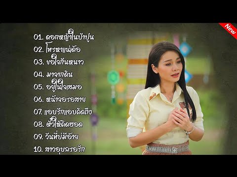รวมเพลงดัง ต่าย อรทัย(ดอกหญ้าในป่าปูน+โทรหาแน่เด้อ+ขอใจกันหนาว)#รวมเพลงลูกทุ่ง 