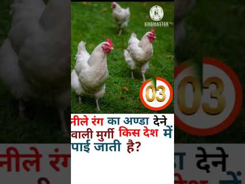 Gk quiz| Gk shorts |Gk  #youtubeshorts #shorts #shortsvideo #gkquiz #gkquiz #gkinhindi