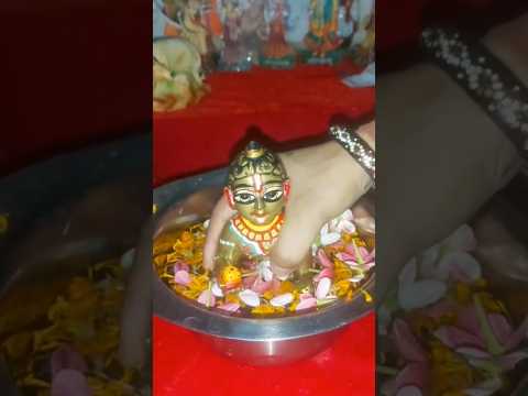 Laddu gopal snan video #minivlog #love #amazingfacts #shortsvideo #trendingshorts