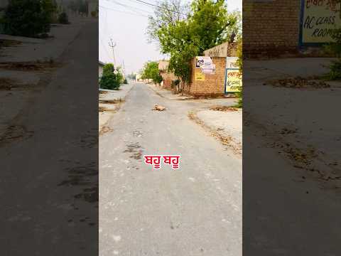 Such a funny video 🤣 ਬਹੂ ਬਹੂ #funnyshorts #comedyshorts #funnydogs #streetdogs #laugh  #laughter