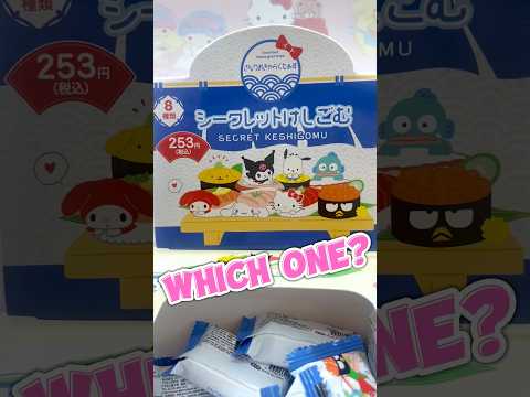 Secret Eraser😣🤫 Pompompurin? Kuromi? Pochacco? Melody? Cinnamoroll? Hello Kitty? XO? Hangyodon?