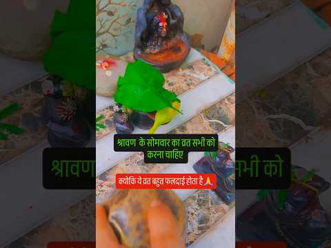 श्रावण के सोमवार का व्रत सभी को करना चाहिए 🙏🙏 #शिव #shivmandirakhadakarala #upay #kedarnath #love
