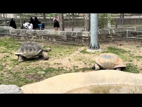 A Day at the Philadelphia Zoo 🐾 | Family Adventure, Wildlife Wonders & Summer Fun 2025 🐘🦜